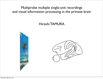 Multiprobe multiple single-unit recordings  and visual information processing in the primate brain