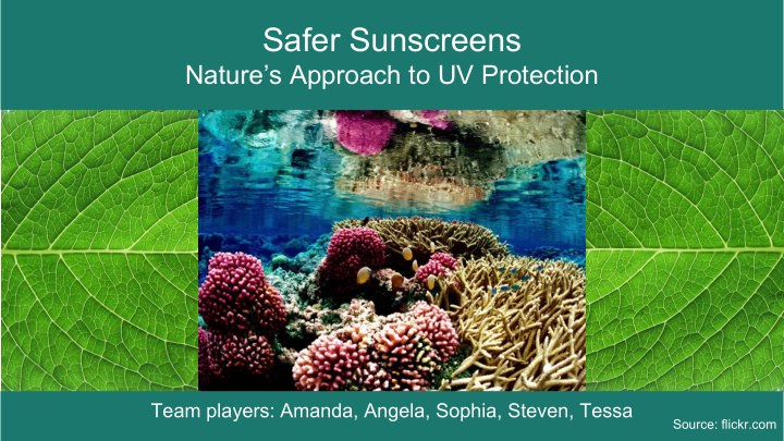 safer sunscreens