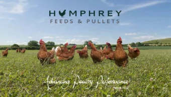 Martin Humphrey  2  Agend  genda  UK Market  Humphrey Feeds &amp; Pullets  Laying Genetics  50