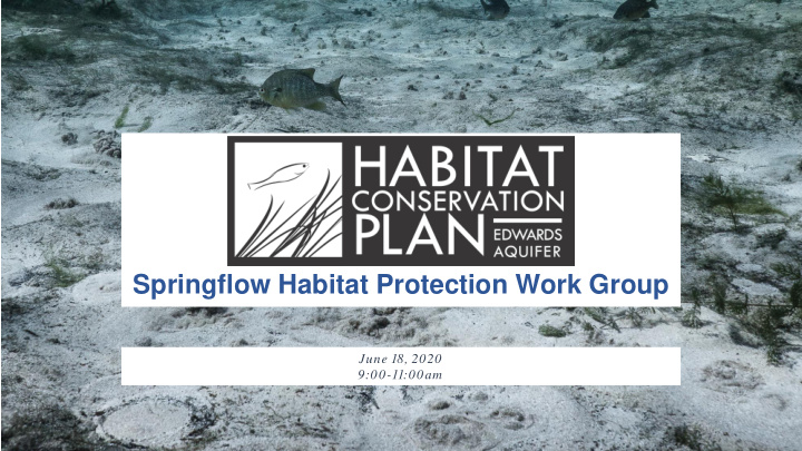 springflow habitat protection work group