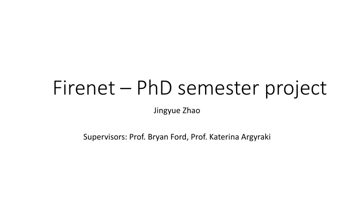 firenet phd semester project