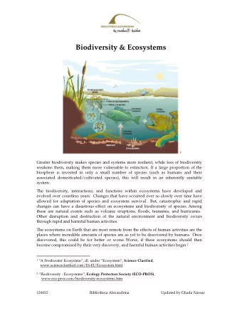 120432                                             Bibliotheca Alexandrina