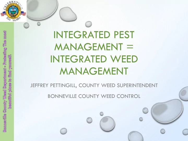 integrated pest