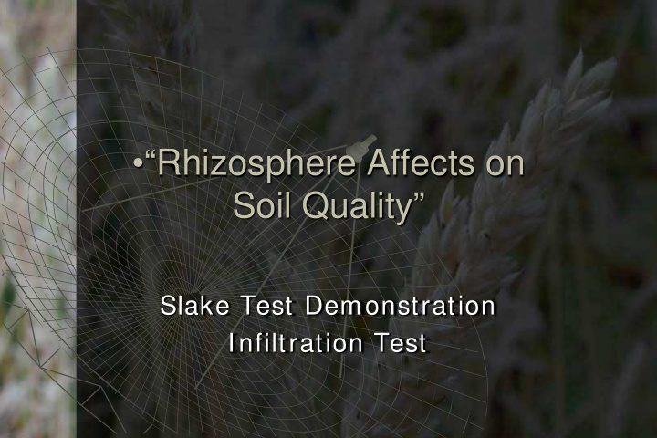 rhizosphere affects on soil quality