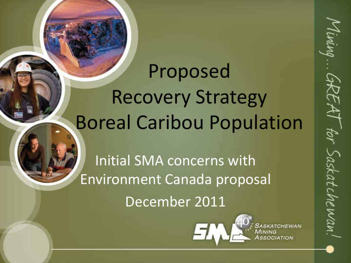 proposed recovery strategy boreal caribou population