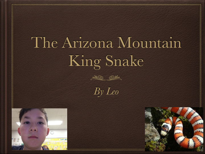 the arizona mountain king snake