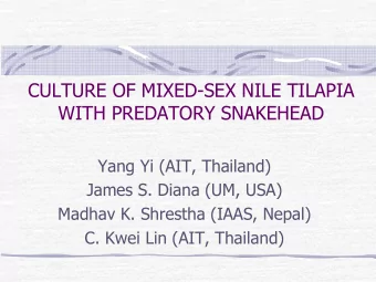 CULTURE OF MIXED-SEX NILE TILAPIA  WITH PREDATORY SNAKEHEAD  Yang Yi (AIT, Thailand)  James S.