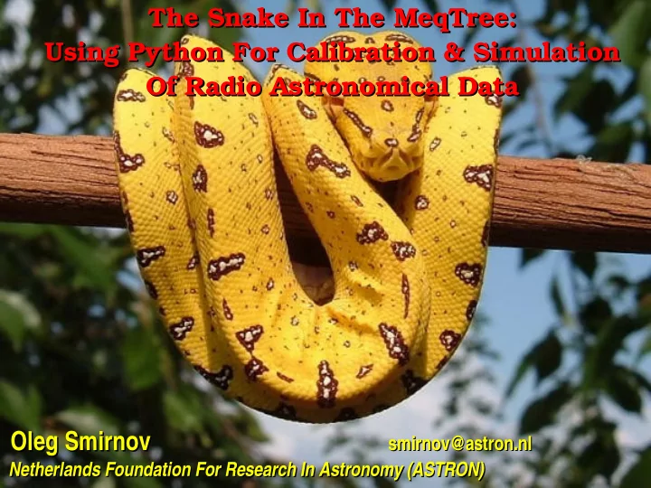 the snake in the meqtree the snake in the meqtree using