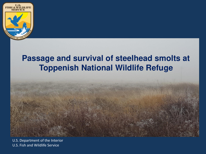 passage and survival of steelhead smolts at toppenish
