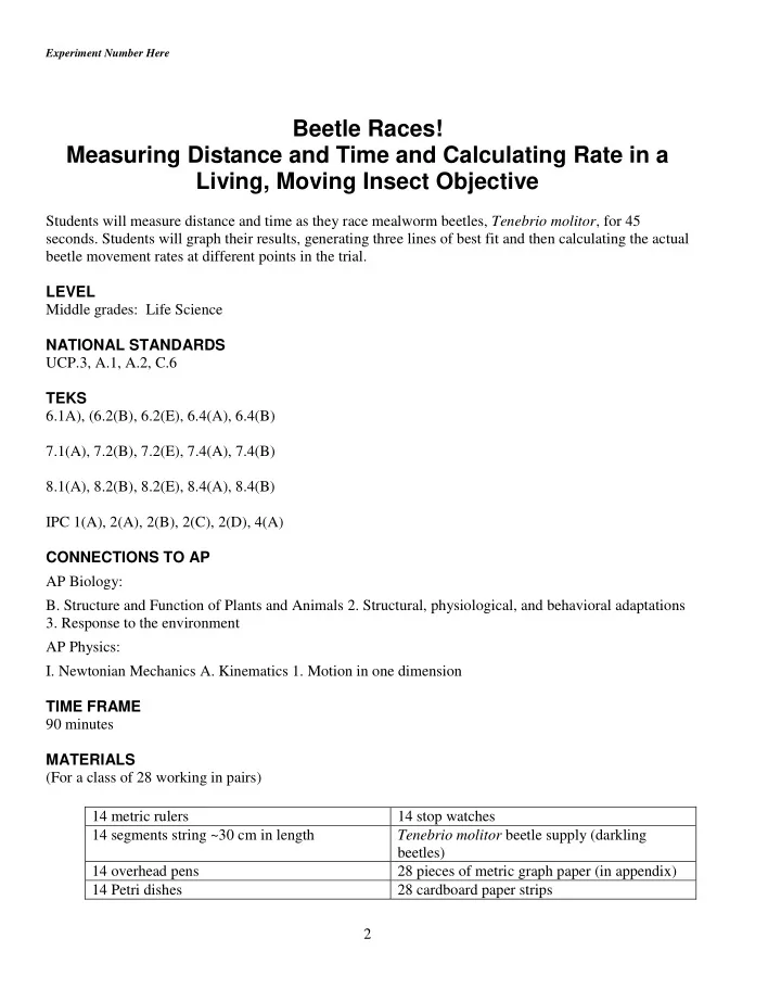 beetle races measuring distance and time and calculating