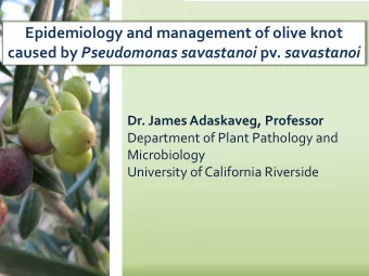 Epidemiology and management of olive knot caused by Pseudomonas savastanoi pv. savastanoi  Dr.