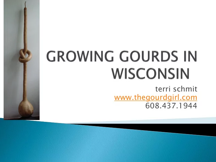 terri schmit thegourdgirl com 608 437 1944