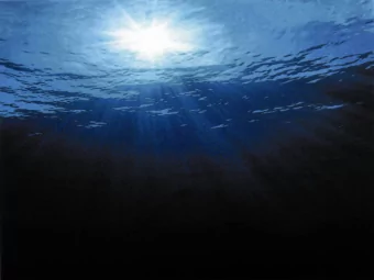 What  s Ahead  s Ahead  What  The arc of attaining competency  How is the Coast Guard is