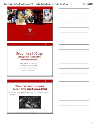 Seborrhea In Dogs  ___________________________________  Management in Shelters