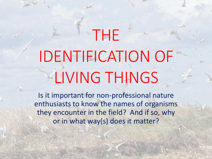 identification of living things