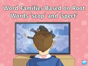 scop  spect  Read the sentences and choose the best  spelling word for each.  You