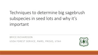 Techniques to determine big sagebrush  subspecies in seed lots and why its  important  BRYCE