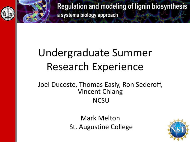 undergraduate summer research experience