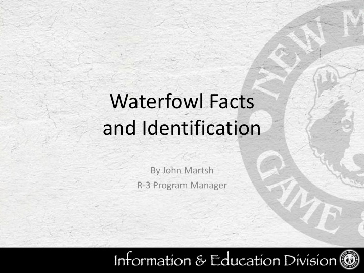 waterfowl facts and identification