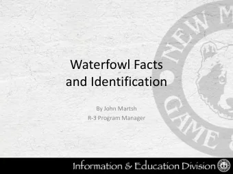 Waterfowl Facts  and Identification  By John Martsh  R-3 Program Manager  North American Flyway Map
