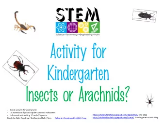 Activity for  Kindergarten  Insects or Arachnids?  -    Great activity for animal unit  -  as