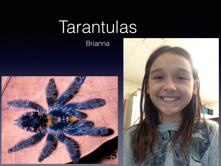 tarantulas