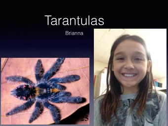 Tarantulas  Brianna  Tarantula Characteristics  Tarantulas are invertebrates  They have fur