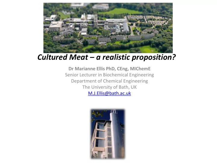 cultured meat a realistic proposition