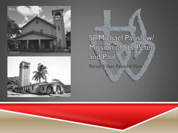 parish 5 year pastoral plan agenda and purpose