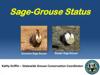 Greater Sage-Grouse Gunnison Sage-Grouse Kathy Griffin  Statewide Grouse Conservation