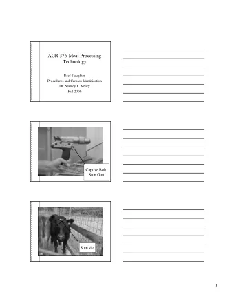 AGR 376-Meat Processing  Technology  Beef Slaughter  Procedures and Carcass Identification  Dr.