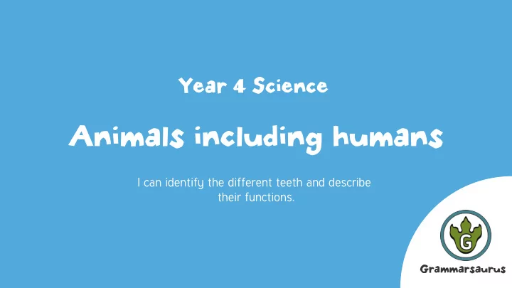 animals including humans