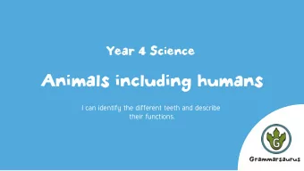 Animals including humans  I can identify the different teeth and describe  their functions.