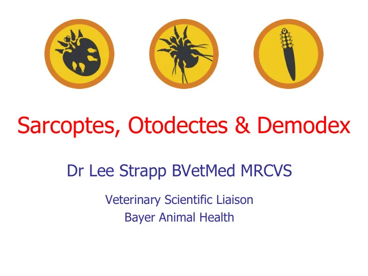 sarcoptes otodectes amp demodex