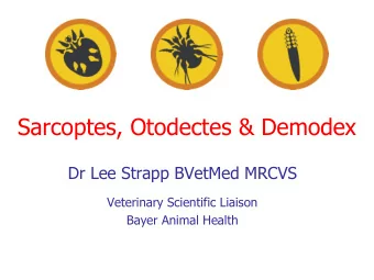 Sarcoptes, Otodectes &amp; Demodex  Dr Lee Strapp BVetMed MRCVS  Veterinary Scientific Liaison