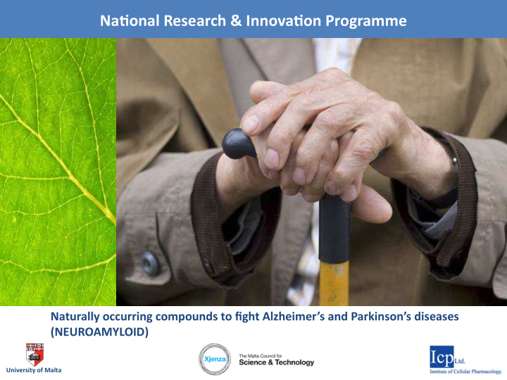 naeonal research innovaeon programme