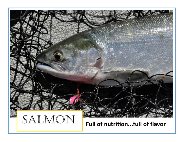 salmon