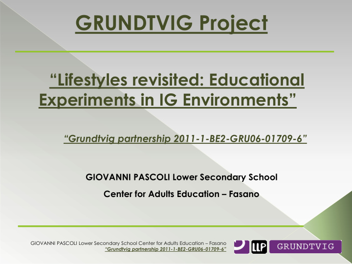 grundtvig project