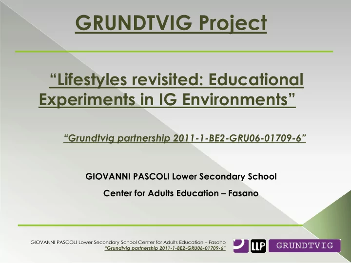 grundtvig project