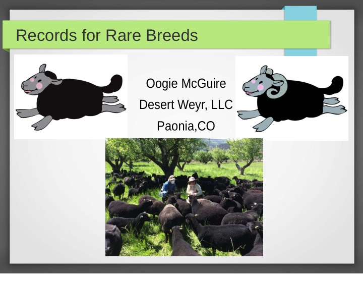records for rare breeds