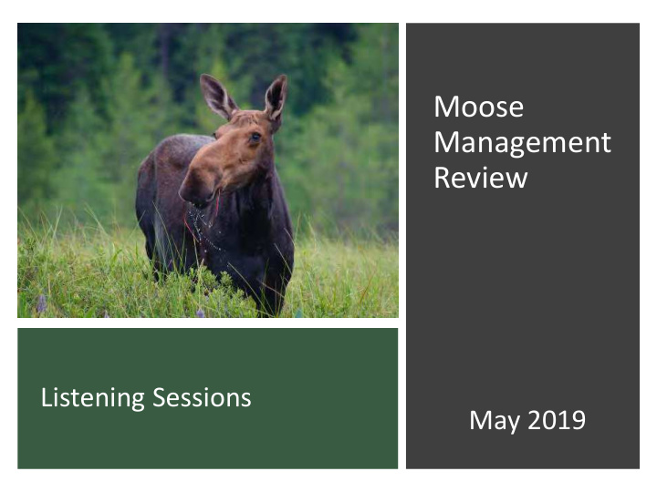 moose management review