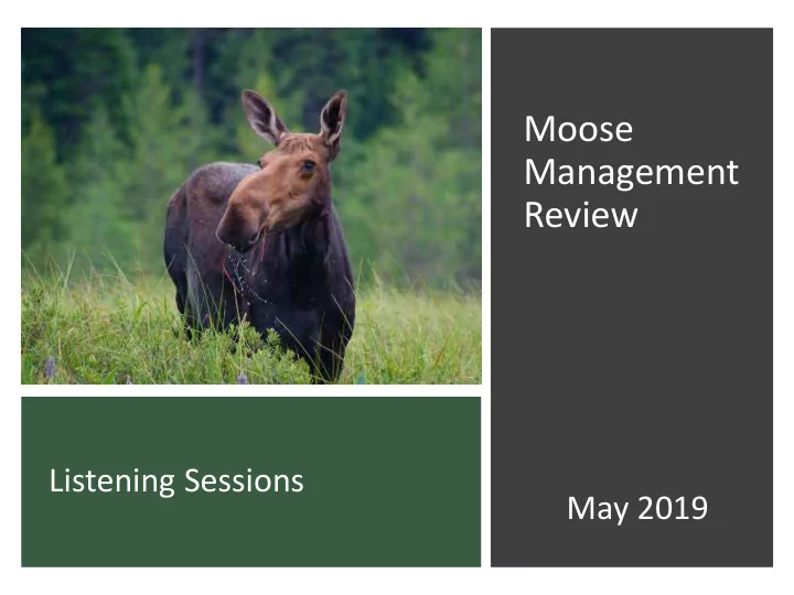 moose management review
