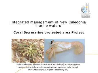Integrated management of New Caledonia  marine waters  -  Coral Sea m arine protected area Project