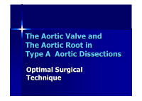 the aortic valve and the aortic valve and the aortic root