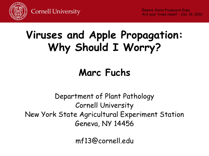 viruses and apple propagation why should i worry