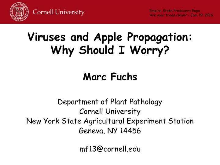 viruses and apple propagation why should i worry