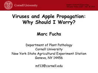 Viruses and Apple Propagation:  Why Should I Worry?  Marc Fuchs  Department of Plant Pathology
