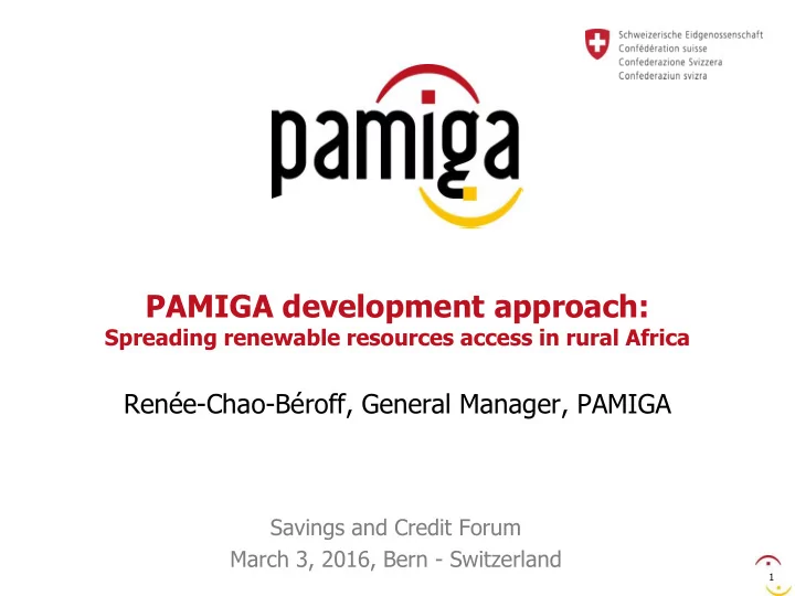 pamiga development approach