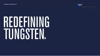 TUNGSTEN CORPORATION PLC  IMPORTANT  INFORMATION  This document contains forward-looking statements