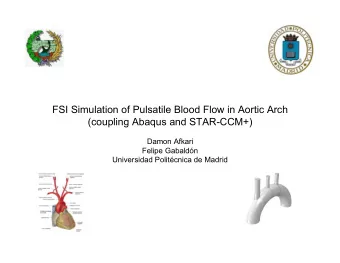 FSI Simulation of Pulsatile Blood Flow in Aortic Arch (coupling Abaqus and STAR-CCM+)  Damon Afkari